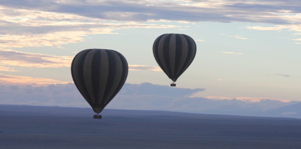 Balloon Safari 2