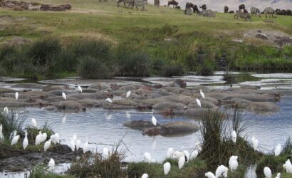 Ngorongoro & Krater