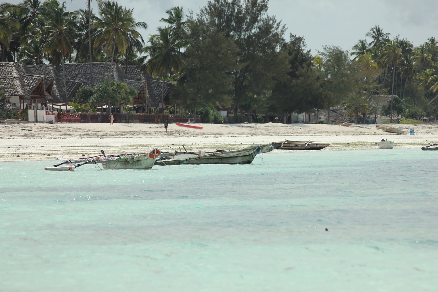 IMG_6327 Zanzibar
