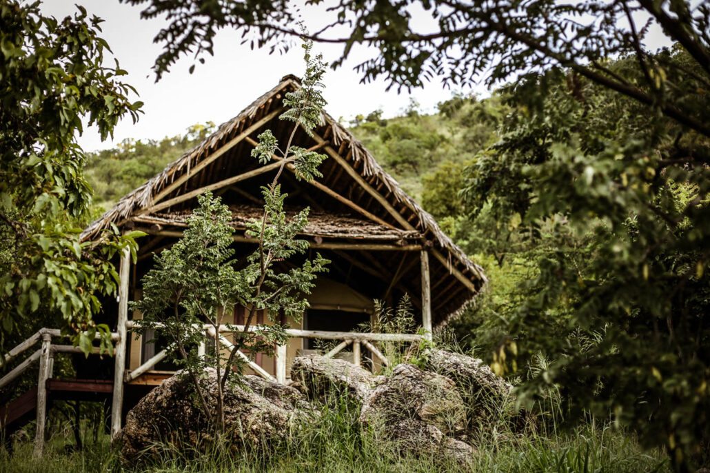 Tarangire_Sangaiwe-2612-1030x686