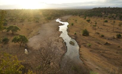Tarangire National Park