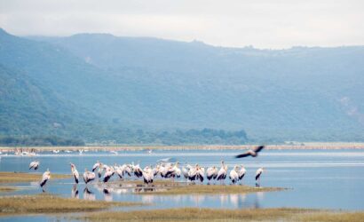 Lake Manyara